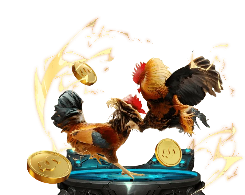 Hoàn Trả Tiền Cược